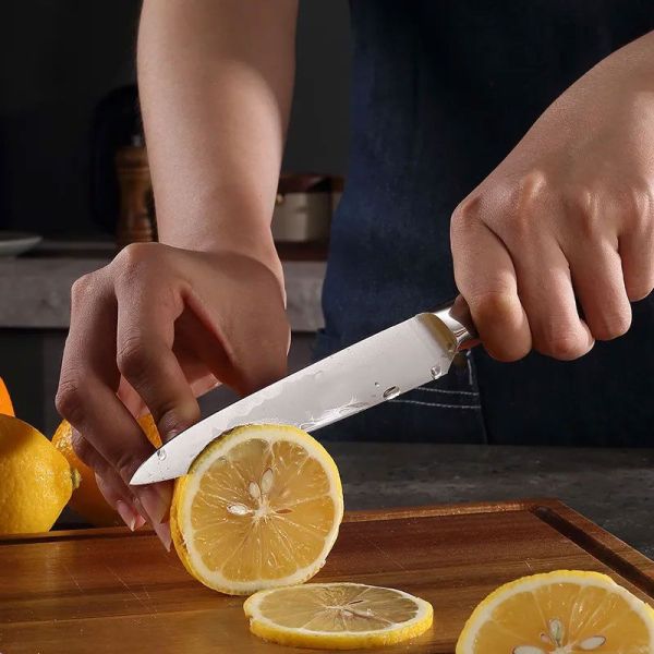 Nerūdijančio plieno 6 dalių virtuvinių peilių komplektas