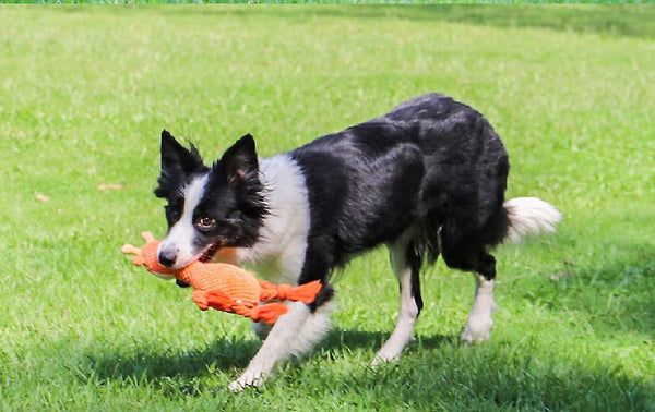 Žaislas šuniukui ,,Žirafa''