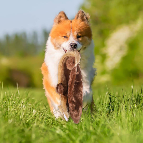 Žaislas šuniukui ,,Rudoji Panda''