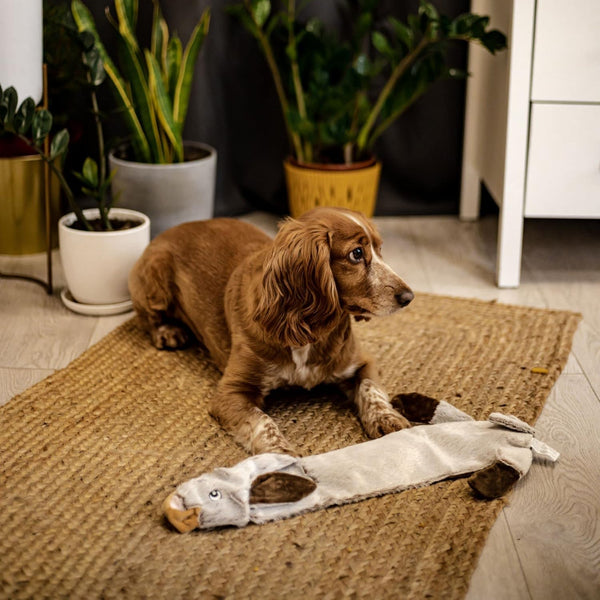 Žaislas šuniukui ,,Ponas Triušis''